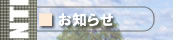 m点